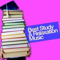 Best Study & Relaxation Music