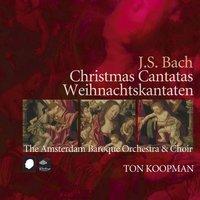 Bach: Christmas Cantatas - Weihnachtskantate