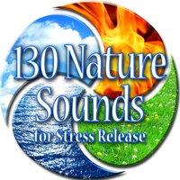 130 Nature Sounds for Stress Release