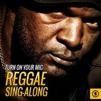 Turn on Your Mic: Reggae Sing - Along