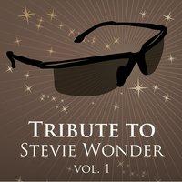 Tritbute to Stevie Wonder, Vol. 1