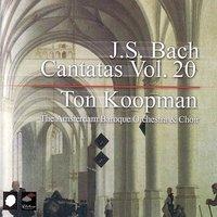 J.S. Bach: Cantatas Vol. 20