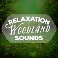 Relaxation Woodland Sounds