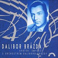 Svátek smyčců s Orchestrem Dalibora Brázdy