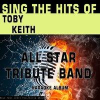 Sing the Hits of Toby Keith