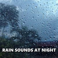 Rain Sounds at Night