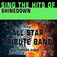 Sing the Hits of Shinedown