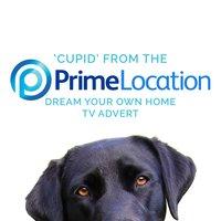 Cupid (From the Prime Location "Dream Your Own Home" T.V. Advert)