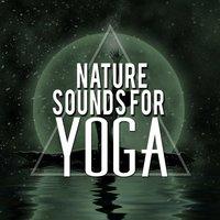 Nature Sounds for Yoga