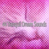 44 Tranquil Dream Sounds