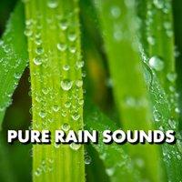 Pure Rain Sounds