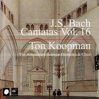 J.S. Bach: Cantatas Vol. 16