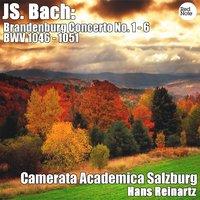 Bach: Brandenburg Concerto No. 1 - 6 BWV 1046 - 1051