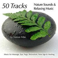 Night Breathe (Crickets &  Nature Sounds for Spa)