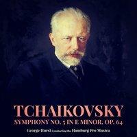Symphony No. 5 in E Minor, Op. 64: IV. Andante maestoso - Allegro vivace - Moderato assai e molto maestoso