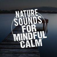 Nature Sounds for Mindful Calm