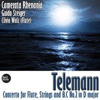 Concerto for Flute, Strings & Bass Continuo No.2 in D Major: II. Allegro