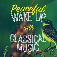 Peaceful Wake up with Classical Music