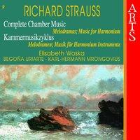 Strauss: Complete Chamber Music, Vol. 2