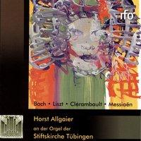 Horst Allgaier an der Orgel der Stiftskirche Tübingen