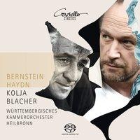 Bernstein - Haydn