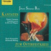 J.S. Bach: Cantatas