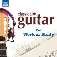 Classical Guitar for Work or Study