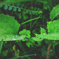 Spiritual Chillout: Invigorating Rainshower
