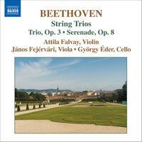 String Trio in E-Flat Major, Op. 3: VI. Finale. Allegro