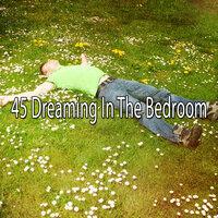 45 Dreaming in the Bedroom