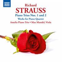 Strauss: Piano Trios Nos. 1 & 2