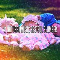 41 Natural Music Restful Slumber