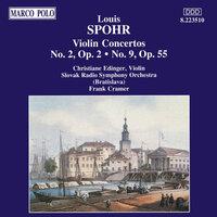 Violin Concerto No. 2 in D Minor, Op. 2: I. Allegro moderato