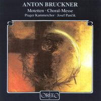 Bruckner: Motets & Choral Music