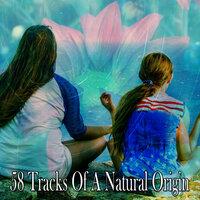 58 Tracks of a Natural Origin