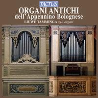 Organi Antichi dell'Appennino Bolognese
