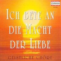 Choral Concert - Bortniansky, D. / Bach, J.S. / Mozart, W.A. / Silcher, F. / Mendelssohn, Felix / Bruckner, A. / Schubert, F.