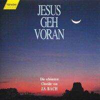 J.S. Bach: Choral Works