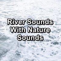 River Sounds With Nature Sounds