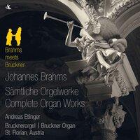 Brahms & Bruckner: Organ Works