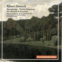 Violin Concerto in D Minor, Op. 30: III. Allegro molto vivace