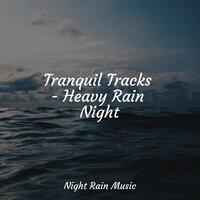 Tranquil Tracks - Heavy Rain Night