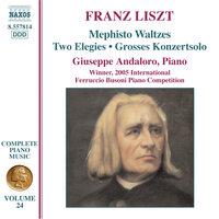 Liszt Complete Piano Music, Vol. 24: Mephisto Waltzes, 2 Elegies & Grosso Konzertsolo