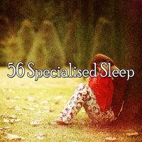 56 Specialised Sle - EP