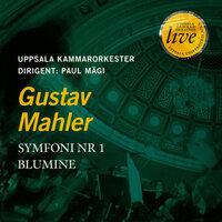 G.MAHLER : Symphony No. 1 Blumine
