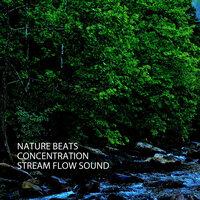 Nature Beats: Concentration Stream Flow Sound