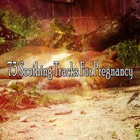 73 Soothing Tracks for Pregnancy