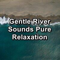Gentle River Sounds Pure Relaxation