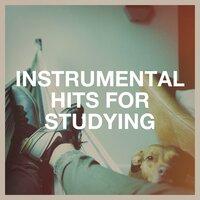Instrumental Hits for Studying