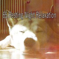 65 Resting Night Relaxation
